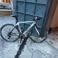 Bicin carbonio , ibrida