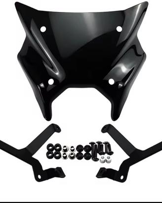 Cupolino MT09 anno 2025