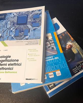Lotto di 20+ libri (Maligniani elettronica)