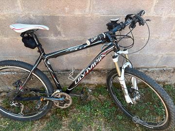 Bici olympia adulto e bici bambina