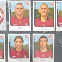 Figurine Panini Livorno 2005/2006
