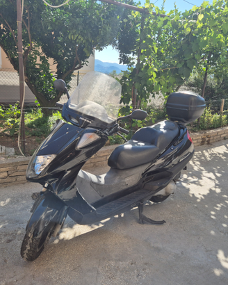 Honda foresight 250