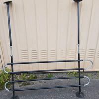 protezione cani auto