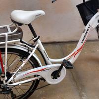 bicicletta elettrica