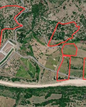 Proprietà agricola di 13,5 ettari - Sortino (SR)