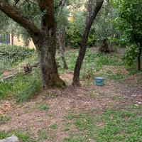 Uso di terreno incolto