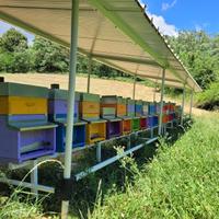 Struttura tettoia per apicoltura