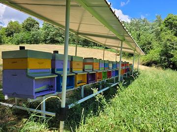 Struttura tettoia per apicoltura