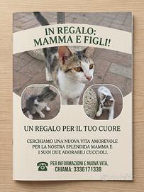 Do gatti