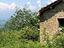 Immagine 8
