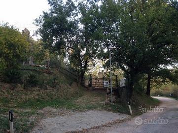 Terreno di 1000mq. a Mercatino Conca