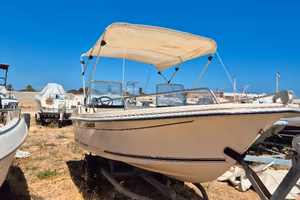 Natante 40 cv 5.4 metri 