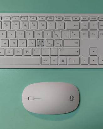 HP 800 Mouse e tastiera wireless