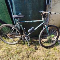 Mountain bike 