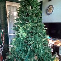 Albero di natale BEAUMONT h 270cm 160€