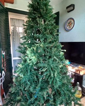 Albero di natale BEAUMONT h 270cm 160€