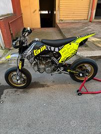 Pitom variante alta 2022