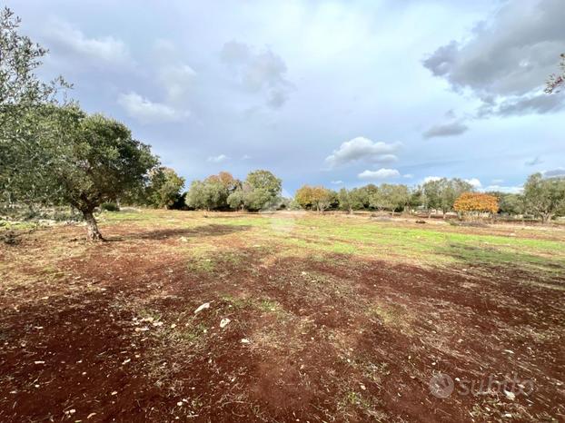 TER. AGRICOLO A CEGLIE MESSAPICA