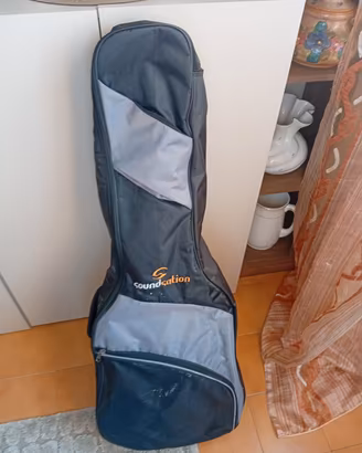 Chitarra acustica e Custodia
