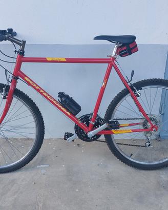 Mountain Bike Bottecchia
