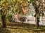 Immagine 29
