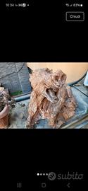 Scultura in terracotta a forma di cinghiale