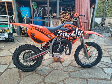 Malaguti grizzly rcx 12 