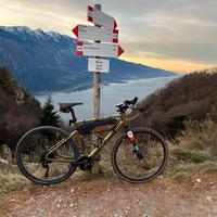 Gravel Bergamont
