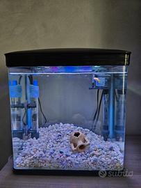 Piccolo acquario neofiti salvaspazio