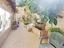 Immagine 12