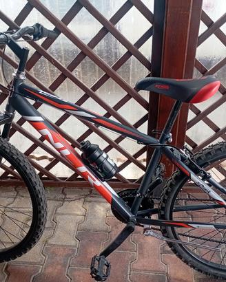 bicicletta