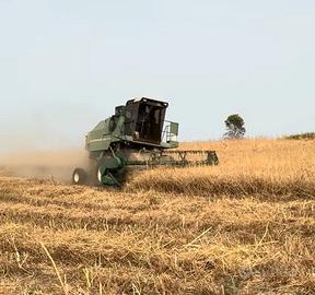 Mietitrebbia Arbos 400 AL - ultima serie