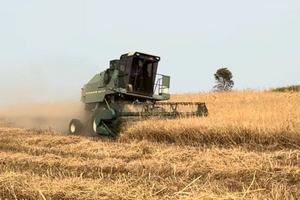 Mietitrebbia Arbos 400 AL - ultima serie