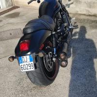 Harley davidson vroad night