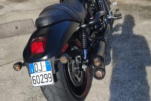 Harley davidson vroad night