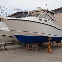 BOSTON WHALER 305 CONQUEST + 2x250hp MERCURY 2008