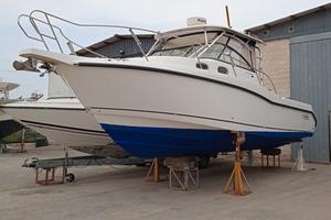 BOSTON WHALER 305 CONQUEST + 2x250hp MERCURY 2008