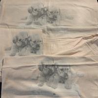 Set lenzuola 1 piazza e1/2 flanella