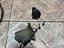 Immagine 1