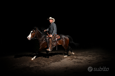 Stagione di monta 2025