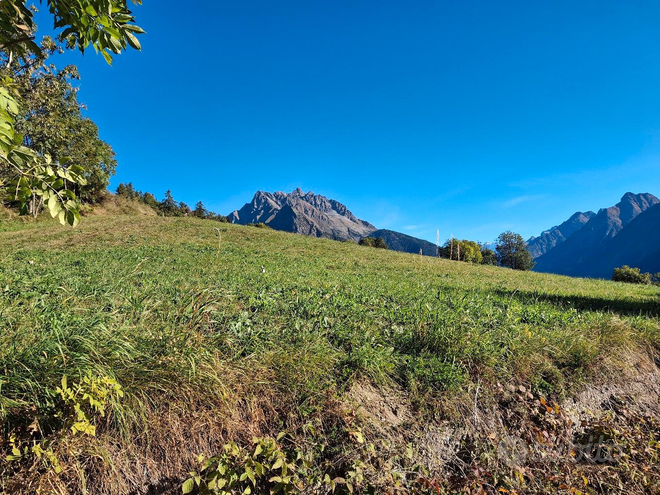 Terreno agricolo a Allein - Vista 4