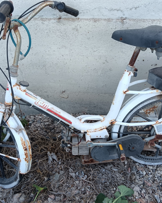 Lem con motore a scoppio
