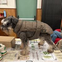 Cappottino piumino invernale