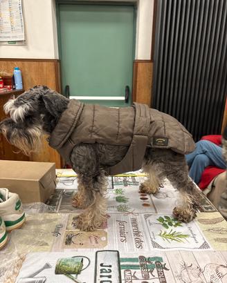 Cappottino piumino invernale