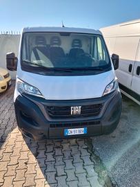 Fiat Ducato Furgone  anno 2023