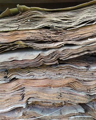 Impiallacciatura di legno noce e altro