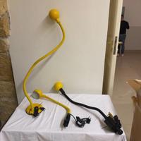 Hebi lampada