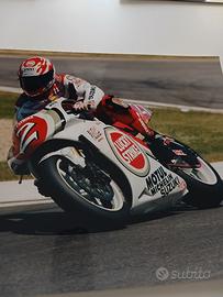 foto di Daryl Beattie
