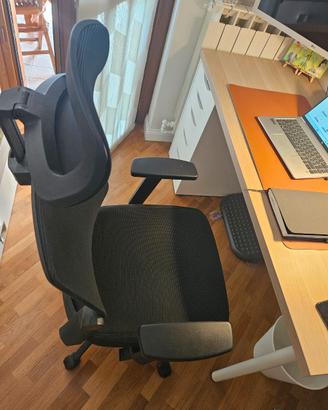 Sedia ufficio ergonomica