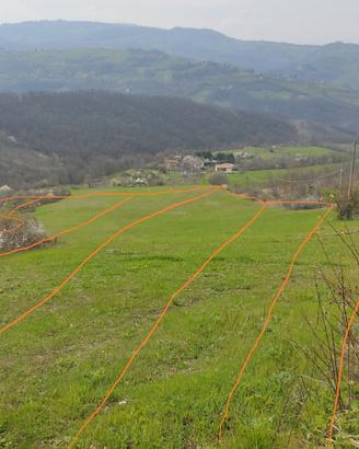 Terreno e bosco